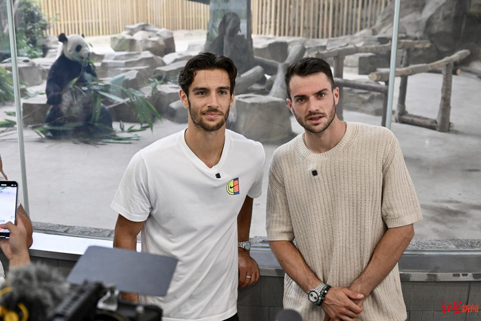 作为东道主 作为东道主